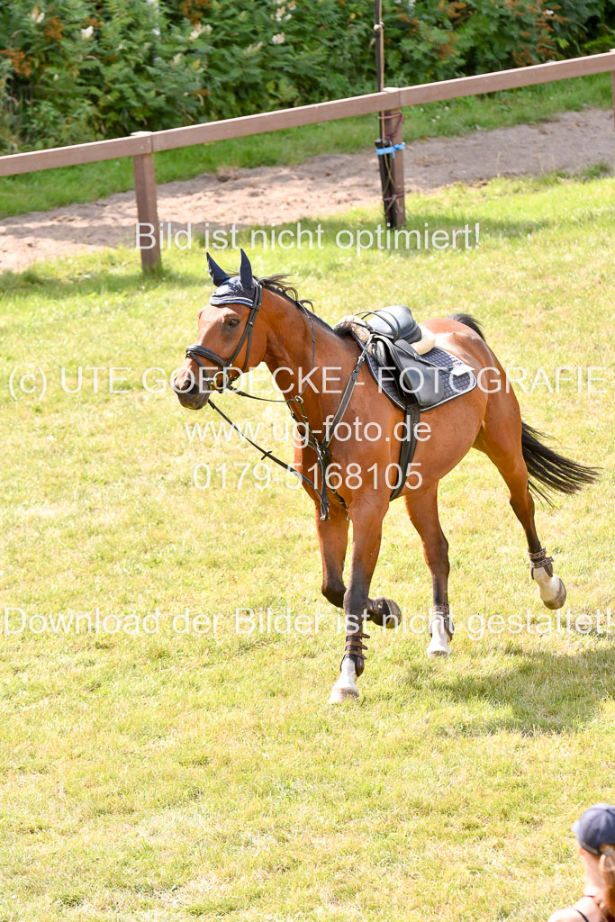 Reitturnier Harburger RV  18.7.2021 | 18072021 Springen S _032 