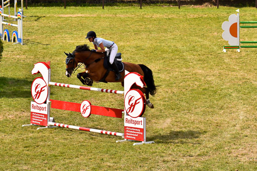 Reitturnier Harburger RV  18.7.2021 | 18072021 Springen S _022 