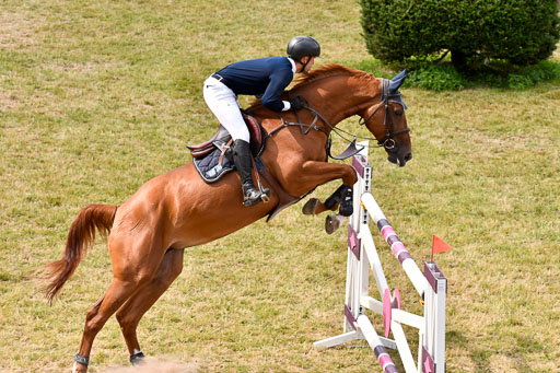 Springen S mit Stechen Springen S mit Stechen