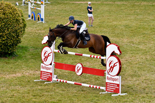 Springen S mit Stechen Springen S mit Stechen