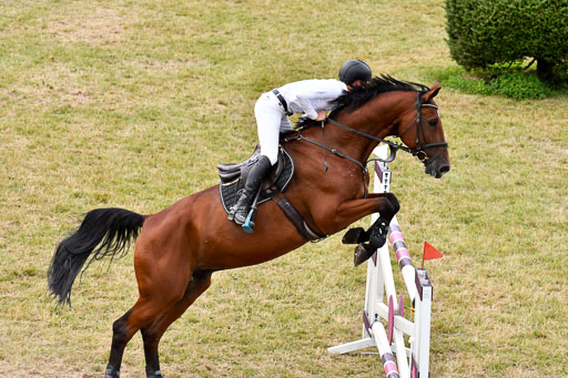 Reitturnier Harburger RV  18.7.2021 | 18072021 Springen S _117 