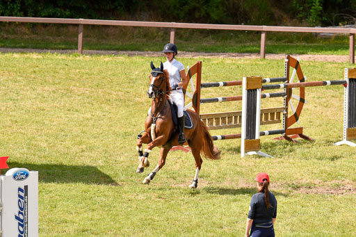 Reitturnier Harburger RV  18.7.2021 | 18072021 Springen S _118 