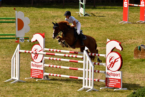 Reitturnier Harburger RV  18.7.2021 | 18072021 Springen S _120 