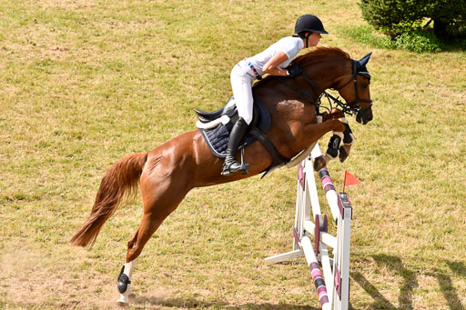 Reitturnier Harburger RV  18.7.2021 | 18072021 Springen S _125 