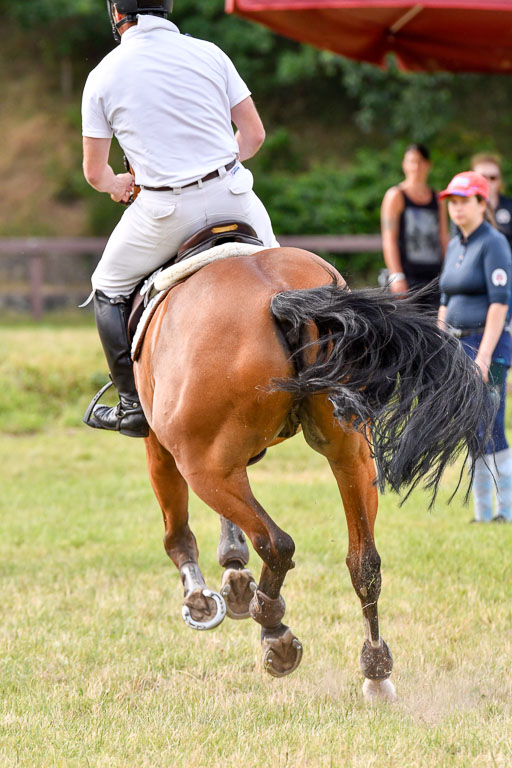 Reitturnier Harburger RV  18.7.2021 | 18072021 Springen S _141 