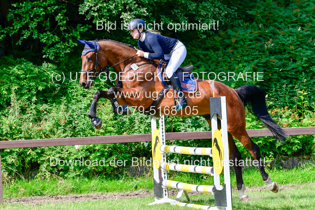 Reitturnier Harburger RV  16.7.2021 | 16072021 Springpferde A 2_038-2 