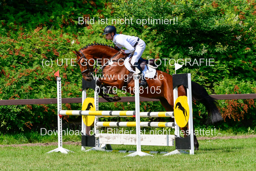 Reitturnier Harburger RV  16.7.2021 | 16072021 Springpferde A 2_051-2 