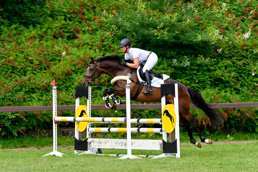 Reitturnier Harburger RV  16.7.2021 | 16072021 Springpferde A 2_016-2 