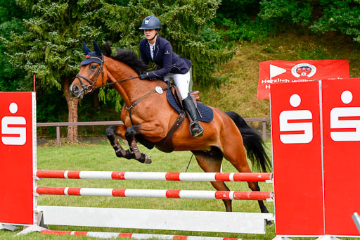 Reitturnier Harburger RV  16.7.2021 | 16072021 Springpferde A 2_020-2 