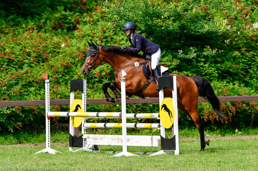 Reitturnier Harburger RV  16.7.2021 | 16072021 Springpferde A 2_022-2 