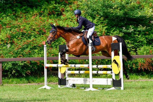 Reitturnier Harburger RV  16.7.2021 | 16072021 Springpferde A 2_023-2 