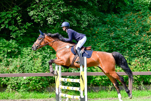 Reitturnier Harburger RV  16.7.2021 | 16072021 Springpferde A 2_024-2 