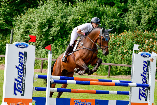 Reitturnier Harburger RV  16.7.2021 | 16072021 Springpferde A 2_025-2 