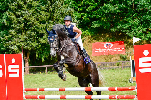 Reitturnier Harburger RV  16.7.2021 | 16072021 Springpferde A 2_028-2 