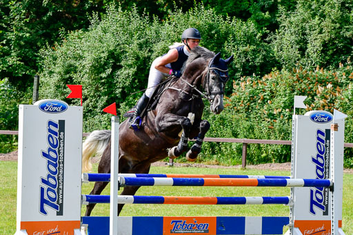 Reitturnier Harburger RV  16.7.2021 | 16072021 Springpferde A 2_029-2 