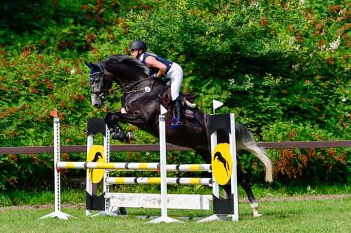 Reitturnier Harburger RV  16.7.2021 | 16072021 Springpferde A 2_031-2 