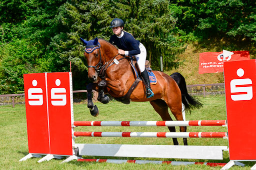 Reitturnier Harburger RV  16.7.2021 | 16072021 Springpferde A 2_035-2 