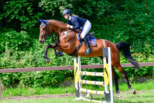 Reitturnier Harburger RV  16.7.2021 | 16072021 Springpferde A 2_038-2 