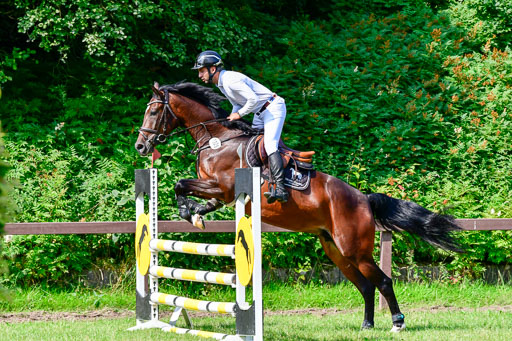 Reitturnier Harburger RV  16.7.2021 | 16072021 Springpferde A 2_041-2 
