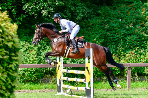 Reitturnier Harburger RV  16.7.2021 | 16072021 Springpferde A 2_042-2 