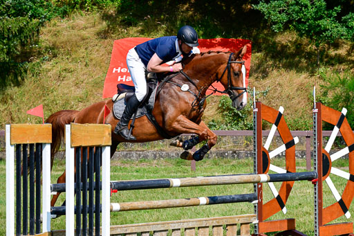 Reitturnier Harburger RV  16.7.2021 | 16072021 Springpferde A 2_049-2 