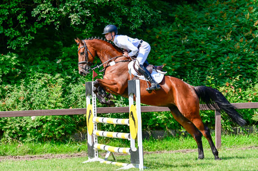 Reitturnier Harburger RV  16.7.2021 | 16072021 Springpferde A 2_052-2 