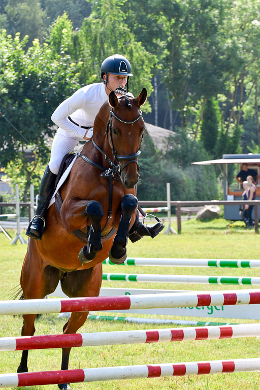 Reitturnier Harburger RV  16.7.2021 | 16072021 Springpferde A 2_053-2 
