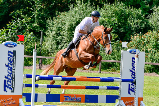 Reitturnier Harburger RV  16.7.2021 | 16072021 Springpferde A 2_056-2 