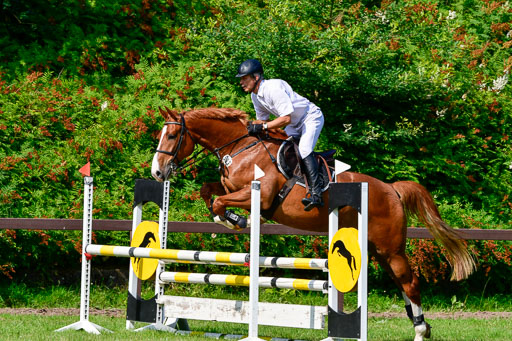 Reitturnier Harburger RV  16.7.2021 | 16072021 Springpferde A 2_057-2 
