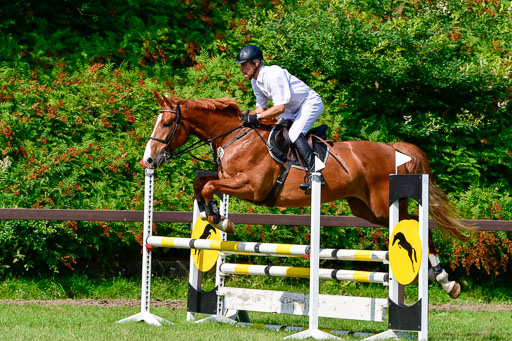 Reitturnier Harburger RV  16.7.2021 | 16072021 Springpferde A 2_058-2 