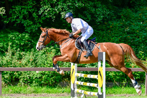 Reitturnier Harburger RV  16.7.2021 | 16072021 Springpferde A 2_059-2 