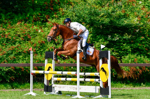 Reitturnier Harburger RV  16.7.2021 | 16072021 Springpferde A 2_063-2 