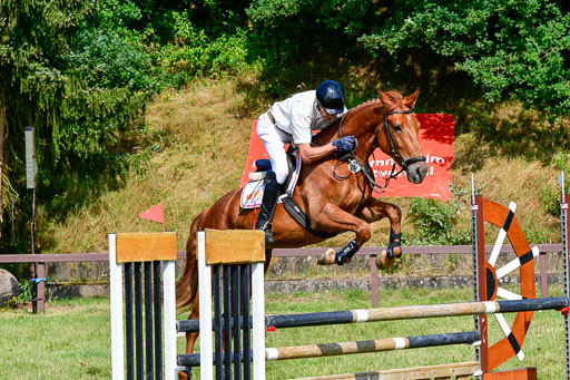 Reitturnier Harburger RV  16.7.2021 | 16072021 Springpferde A 2_065-2 