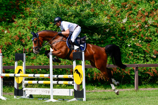 Reitturnier Harburger RV  16.7.2021 | 16072021 Springpferde A 2_069-2 
