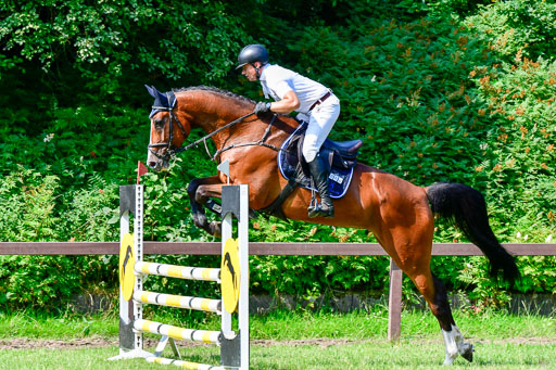 Reitturnier Harburger RV  16.7.2021 | 16072021 Springpferde A 2_070-2 
