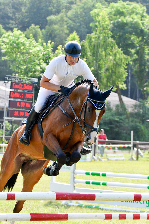 Reitturnier Harburger RV  16.7.2021 | 16072021 Springpferde A 2_072-2 