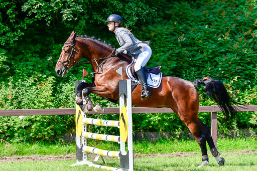 Reitturnier Harburger RV  16.7.2021 | 16072021 Springpferde A 2_074-2 