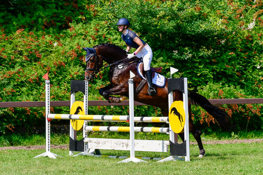 Reitturnier Harburger RV  16.7.2021 | 16072021 Springpferde A 2_077-2 