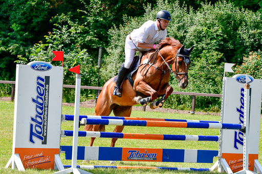 Reitturnier Harburger RV  16.7.2021 | 16072021 Springpferde A 2_081-2 