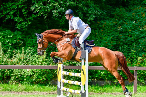 Reitturnier Harburger RV  16.7.2021 | 16072021 Springpferde A 2_083-2 