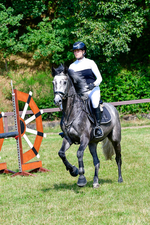 Reitturnier Harburger RV  16.7.2021 | 16072021 Springpferde A 2_088-2 