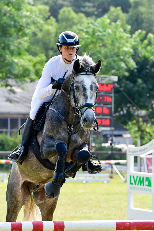 Reitturnier Harburger RV  16.7.2021 | 16072021 Springpferde A 2_090-2 