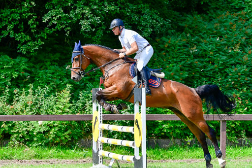 Reitturnier Harburger RV  16.7.2021 | 16072021 Springpferde A 2_094-2 