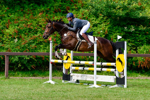 Reitturnier Harburger RV  16.7.2021 | 16072021 Springpferde A 2_096-2 