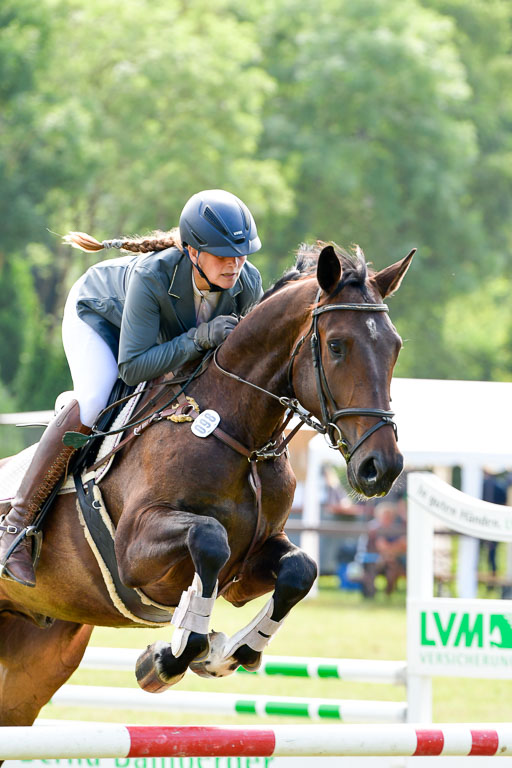 Reitturnier Harburger RV  16.7.2021 | 16072021 Springpferde A 2_098-2 