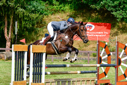 Reitturnier Harburger RV  16.7.2021 | 16072021 Springpferde A 2_099-2 