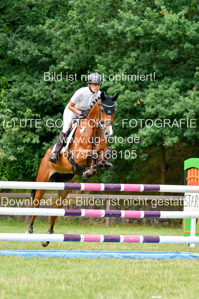 Reitturnier Harburger RV  16.7.2021 | 16072021 Springpferde L 5J_007-2 