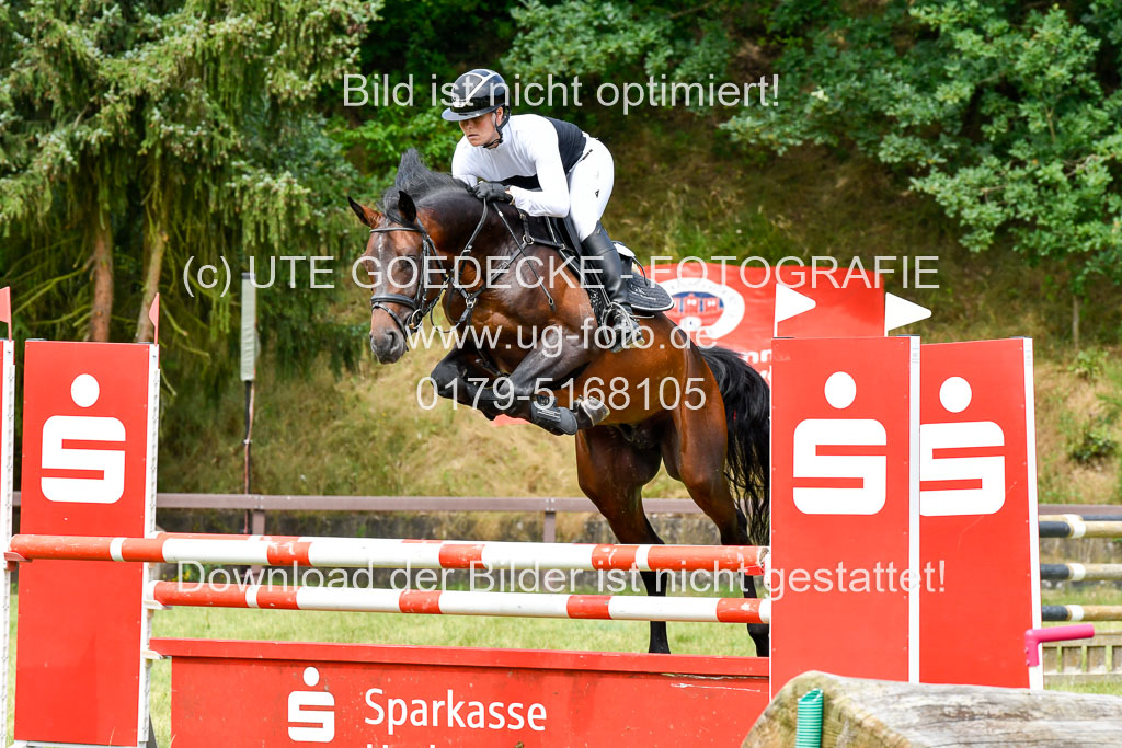 Reitturnier Harburger RV  16.7.2021 | 16072021 Springpferde L 5J_009-2 