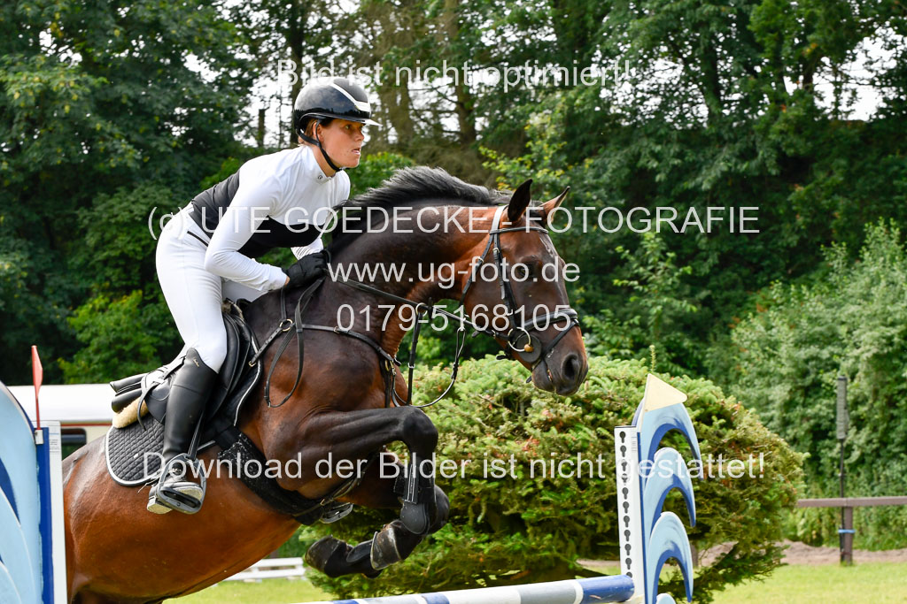 Reitturnier Harburger RV  16.7.2021 | 16072021 Springpferde L 5J_011-2 