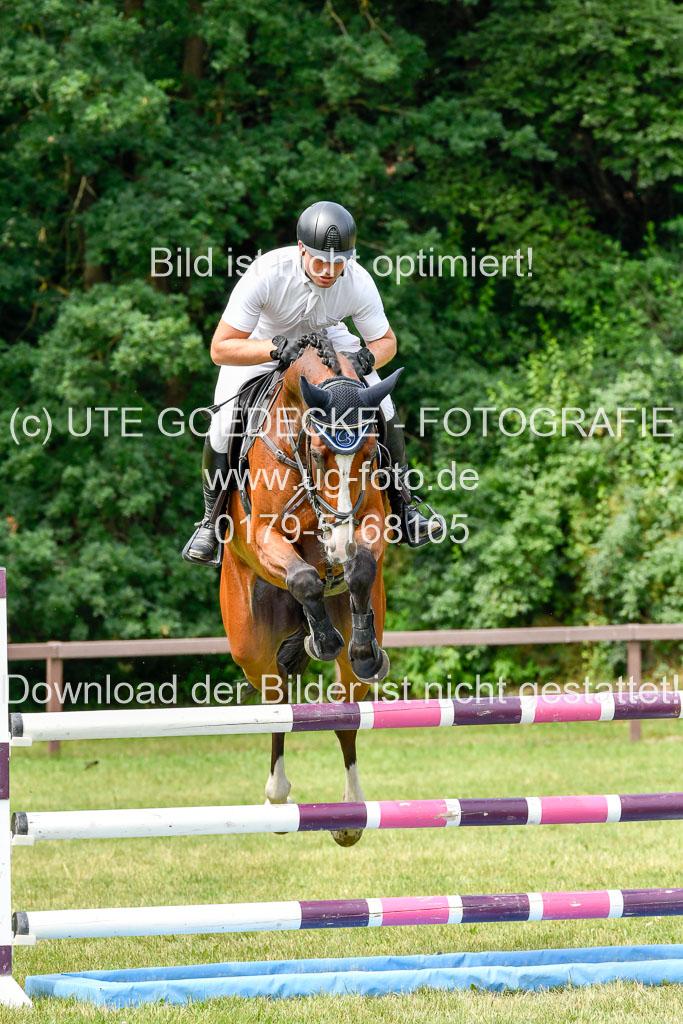 Reitturnier Harburger RV  16.7.2021 | 16072021 Springpferde L 5J_014-2 